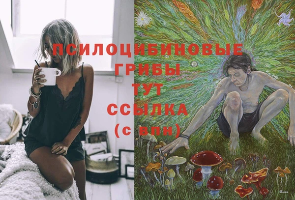 Альфа ПВП Алексин