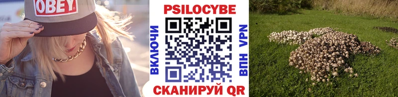Псилоцибиновые грибы Psilocybe  Чадан 